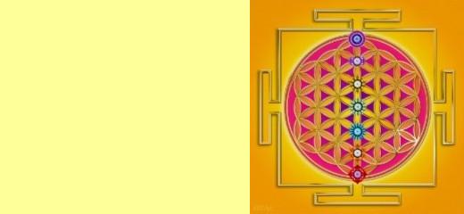 floweroflife2